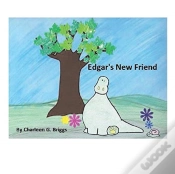 Capa do artigo Edgar