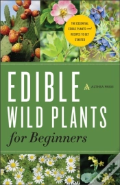Capa do artigo Edible Wild Plants For Beginners
