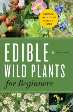 Capa do artigo Edible Wild Plants For Beginners