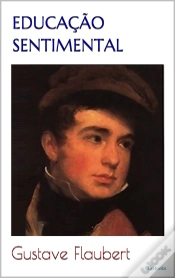 Capa do artigo Educação Sentimental - Flaubert