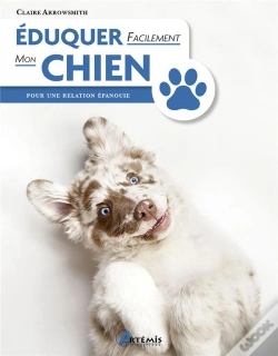 Capa do artigo Éduquer Facilement Mon Chien : Pour Une Relation Épanouie