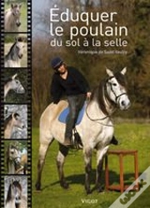 Éduquer Le Poulain Du Sol À La Selle