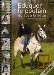 Capa do artigo Éduquer Le Poulain Du Sol À La Selle