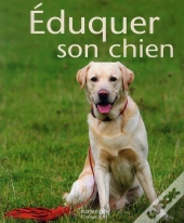 Éduquer Son Chien