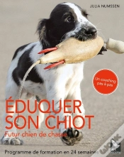 Capa do artigo Éduquer Son Chiot Futur Chien De Chasse