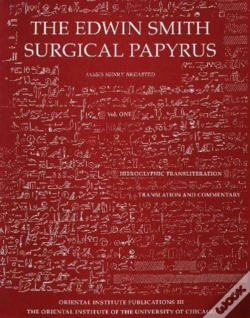 Capa do artigo Edwin Smith Surgical Papyrus. Volume 1
