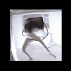 Capa do artigo Eel Drip - Vinil