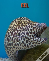 Eel