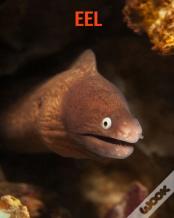 Eel