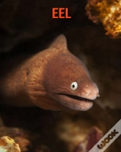 Capa do artigo Eel