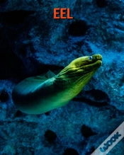 Capa do artigo Eel