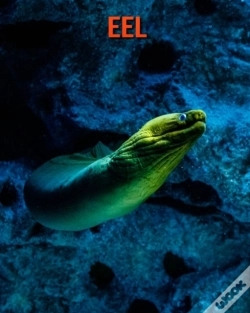 Capa do artigo Eel