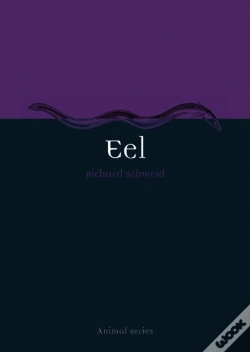 Capa do artigo Eel