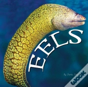 Capa do artigo Eels