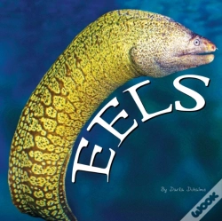 Capa do artigo Eels
