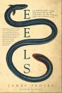 Eels - Preview