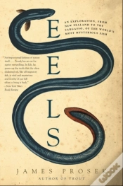 Capa do artigo Eels