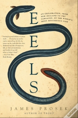 Capa do artigo Eels