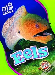 Capa do artigo Eels