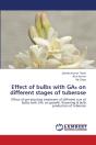 Effect Of Bulbs With Ga₃ On Different Stages Of Tuberose - Preview