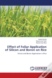 Capa do artigo Effect Of Foliar Application Of Silicon And Boron On Rice