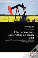 Effect Of Moisture Conservation On Canola Yield