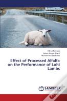 Effect Of Processed Alfalfa On The Performance Of Lohi Lambs