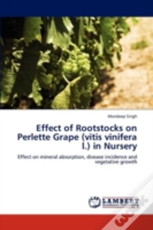 Effect Of Rootstocks On Perlette Grape (Vitis Vinifera L.) In Nursery