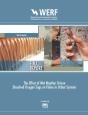 Effect Of Wet Weather Driven Dissolved Oxygen Sags On Fishes In Urban Systems - Preview