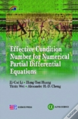 Capa do artigo Effective Condition Number For Numerical Partial Differential Equations
