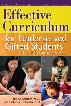 Capa do artigo Effective Curriculum For Underserved Gifted Students
