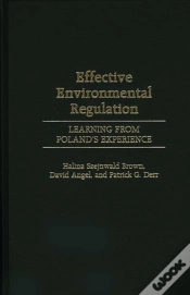 Capa do artigo Effective Environmental Regulation