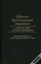 Capa do artigo Effective Environmental Regulation