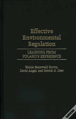 Capa do artigo Effective Environmental Regulation