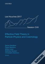 Effective Field Theory In Particle Physics And Cosmology