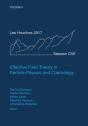 Effective Field Theory In Particle Physics And Cosmology - Preview
