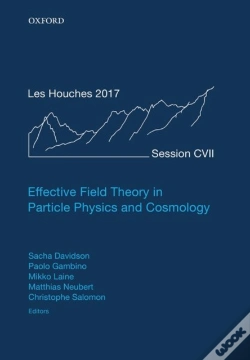Capa do artigo Effective Field Theory In Particle Physics And Cosmology