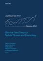 Effective Field Theory In Particle Physics And Cosmology - Preview
