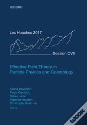 Capa do artigo Effective Field Theory In Particle Physics And Cosmology