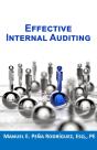 Effective Internal Auditing - Preview