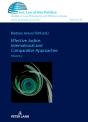 Effective Justice. International And Comparative Approaches - Preview