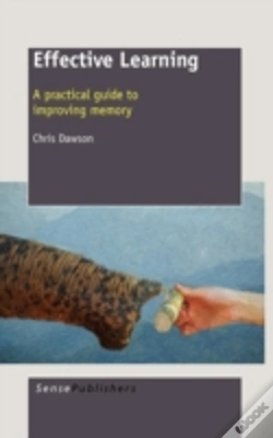 Capa do artigo Effective Learning: A Practical Guide To