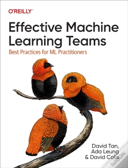 Capa do artigo Effective Machine Learning Teams
