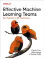 Effective Machine Learning Teams - Preview