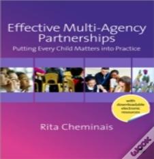 Effective Multi-Agency Partnerships