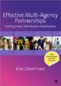 Effective Multi-Agency Partnerships - Preview