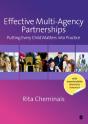 Effective Multi-Agency Partnerships - Preview