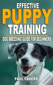 Effective Puppy Training