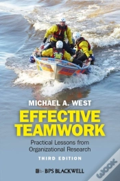 Capa do artigo Effective Teamwork