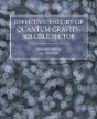 Effective Theory Of Quantum Gravity - Preview